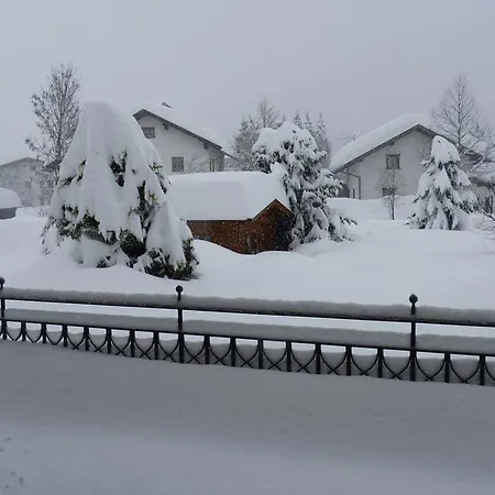 Haus Maria Leiter Guest house